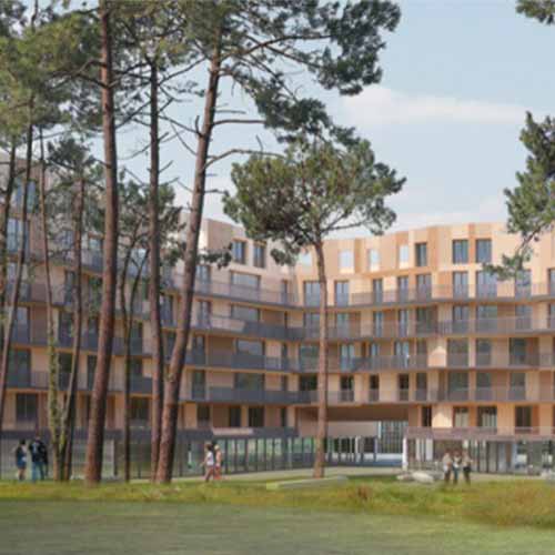 Projet Cité - Léopard