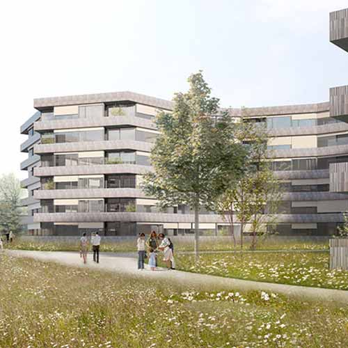 Projet Parc des Chênes